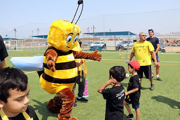 Actividades con nuestra mascota Ziggy la abeja.